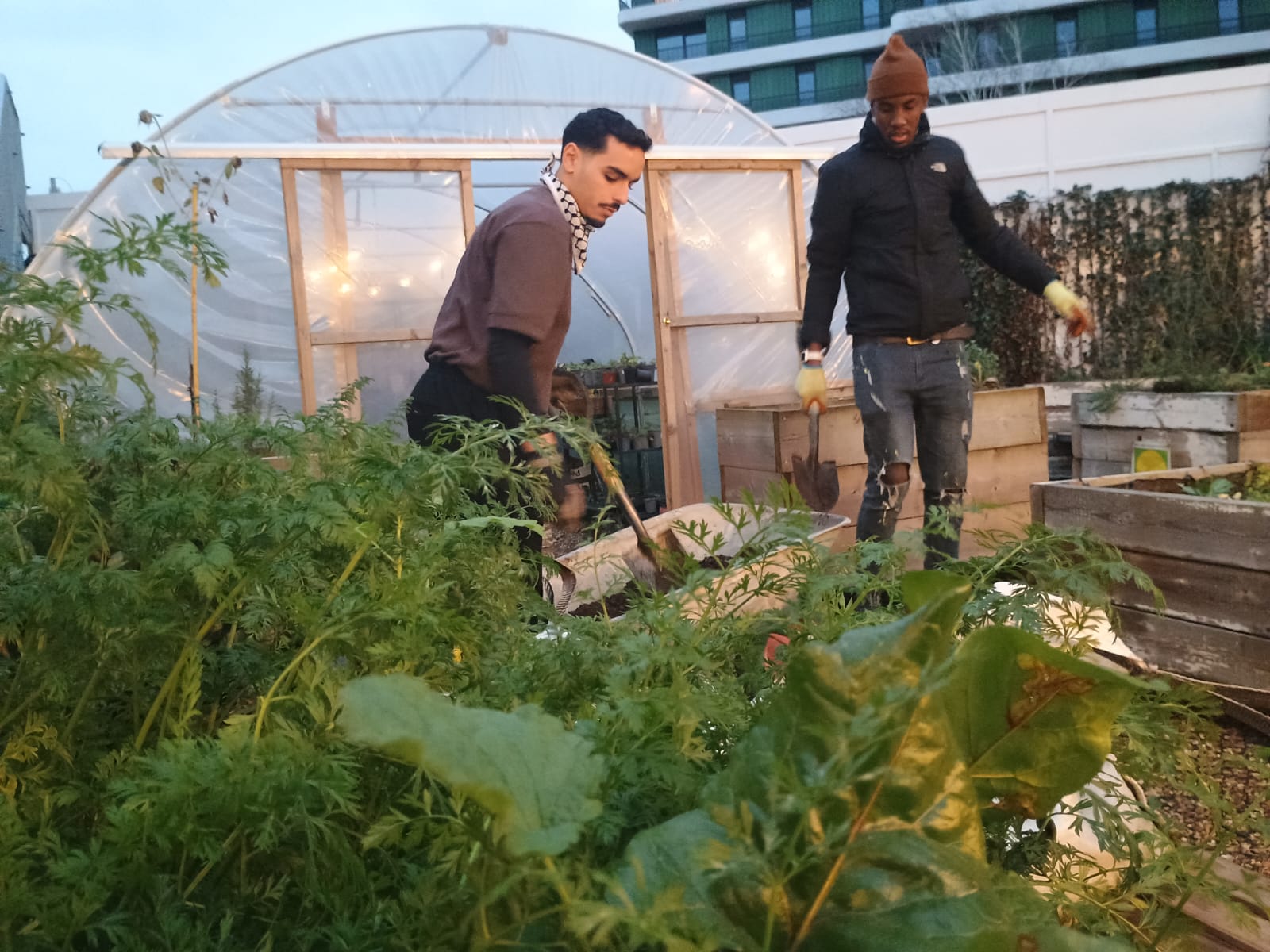 Image shows two young people gardening.